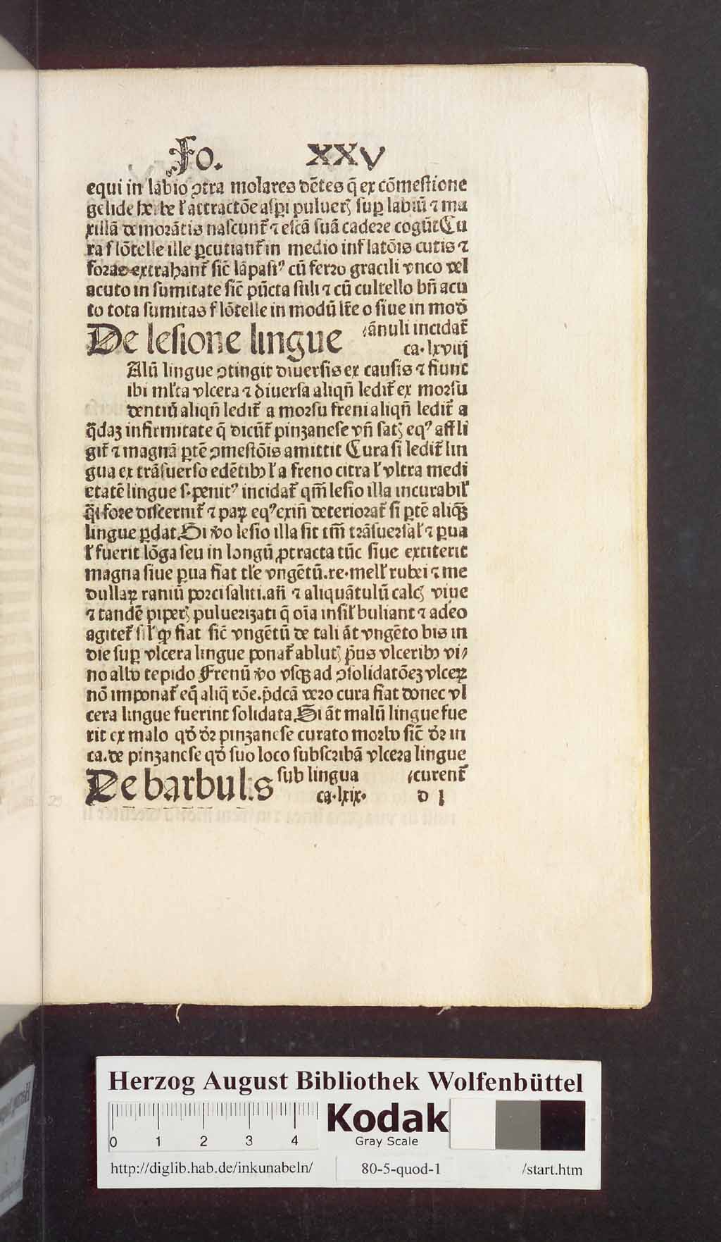 http://diglib.hab.de/inkunabeln/80-5-quod-1/00061.jpg
