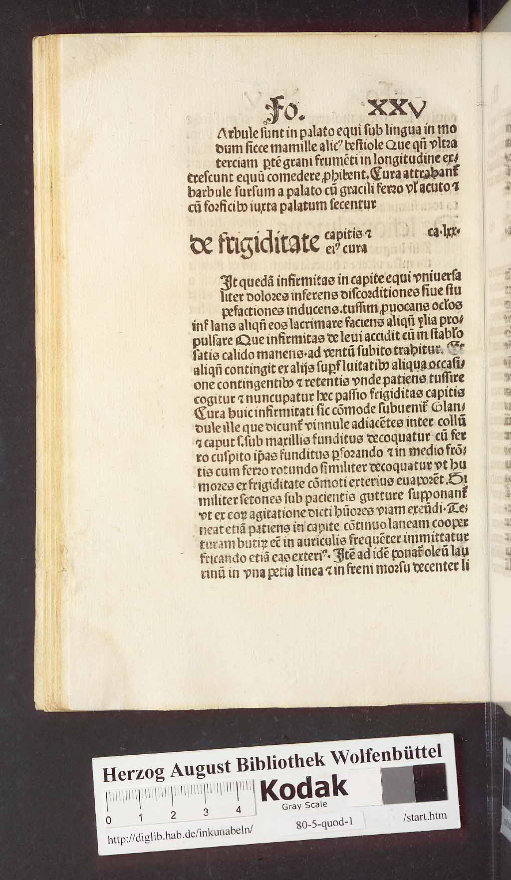 http://diglib.hab.de/inkunabeln/80-5-quod-1/00062.jpg