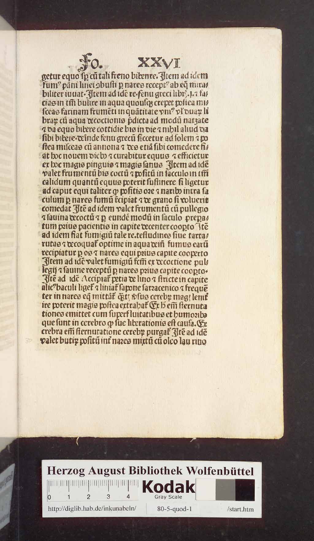 http://diglib.hab.de/inkunabeln/80-5-quod-1/00063.jpg