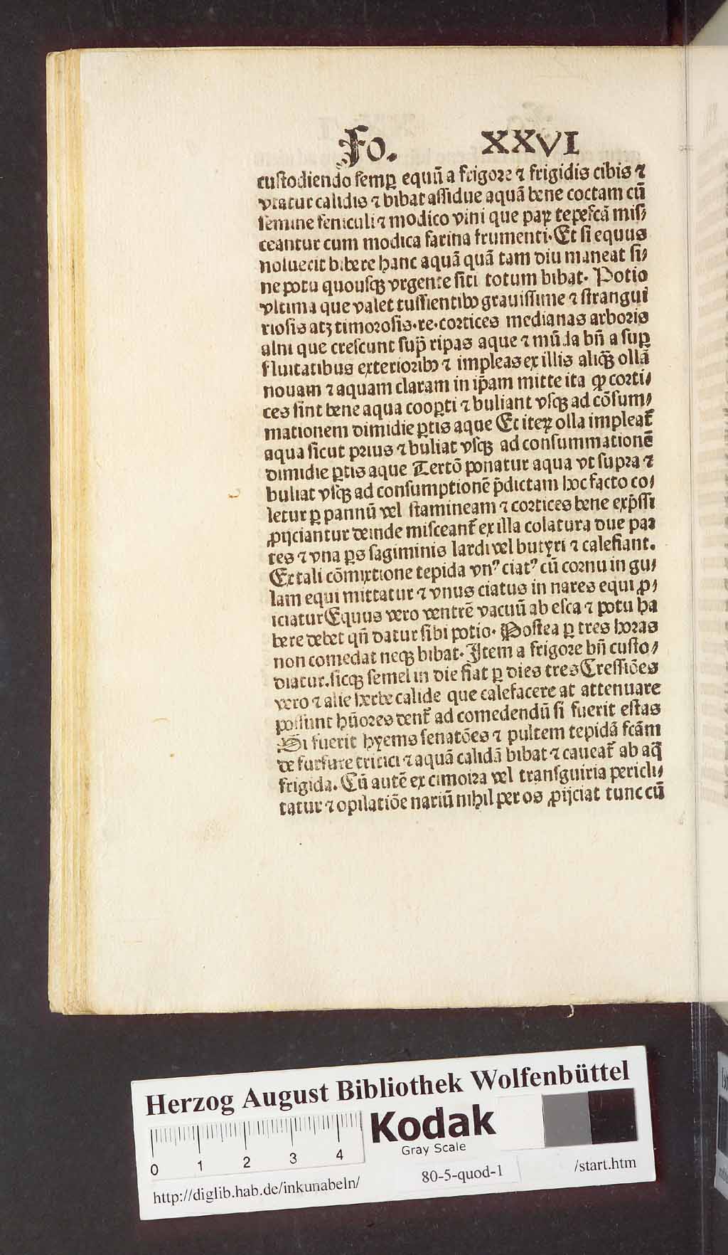 http://diglib.hab.de/inkunabeln/80-5-quod-1/00064.jpg