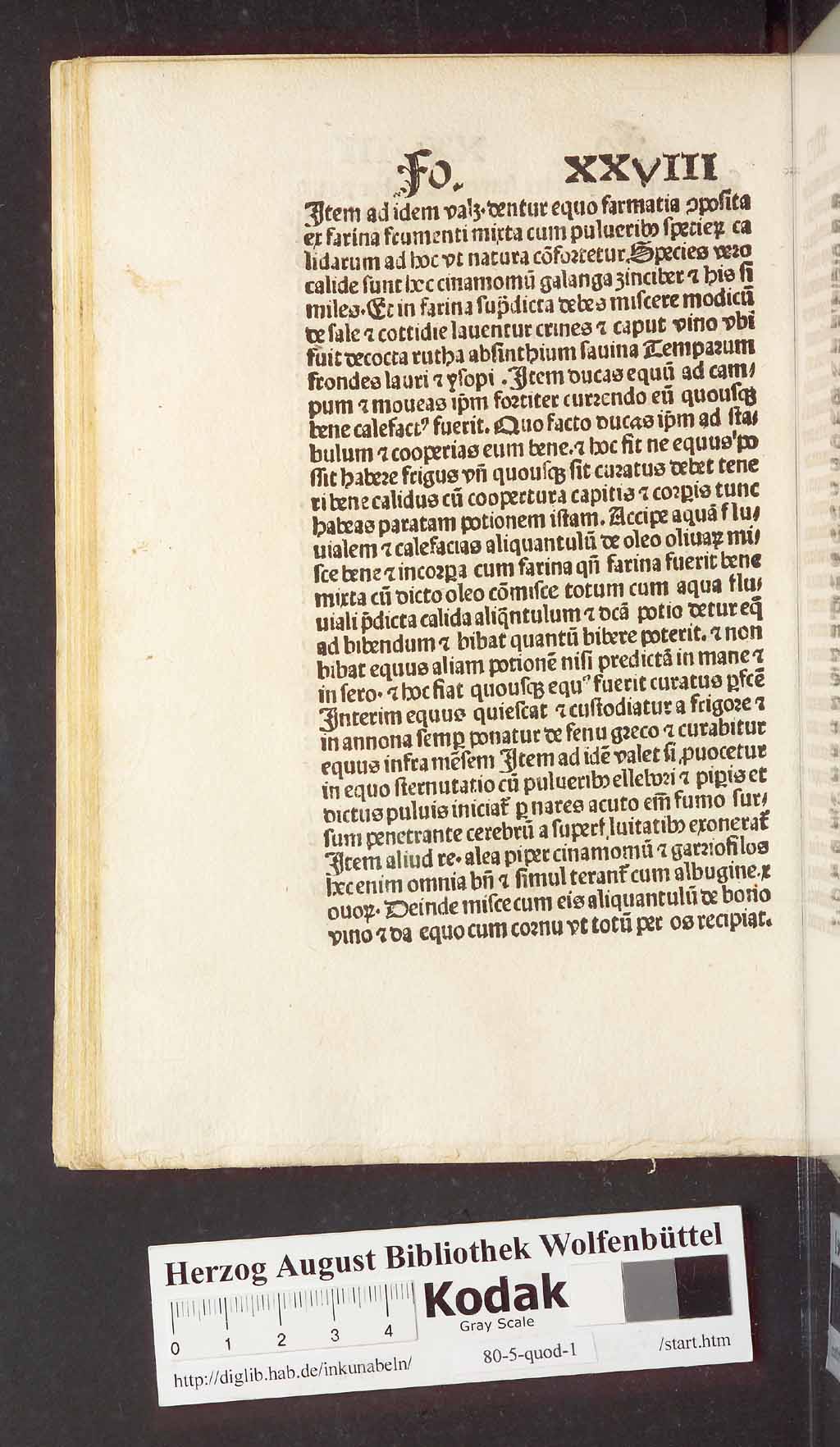http://diglib.hab.de/inkunabeln/80-5-quod-1/00068.jpg