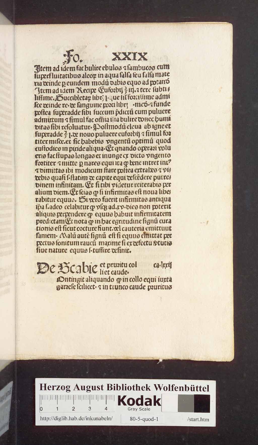 http://diglib.hab.de/inkunabeln/80-5-quod-1/00069.jpg
