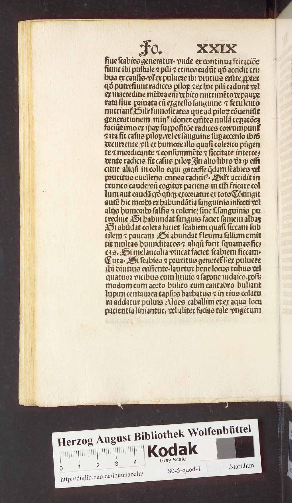 http://diglib.hab.de/inkunabeln/80-5-quod-1/00070.jpg