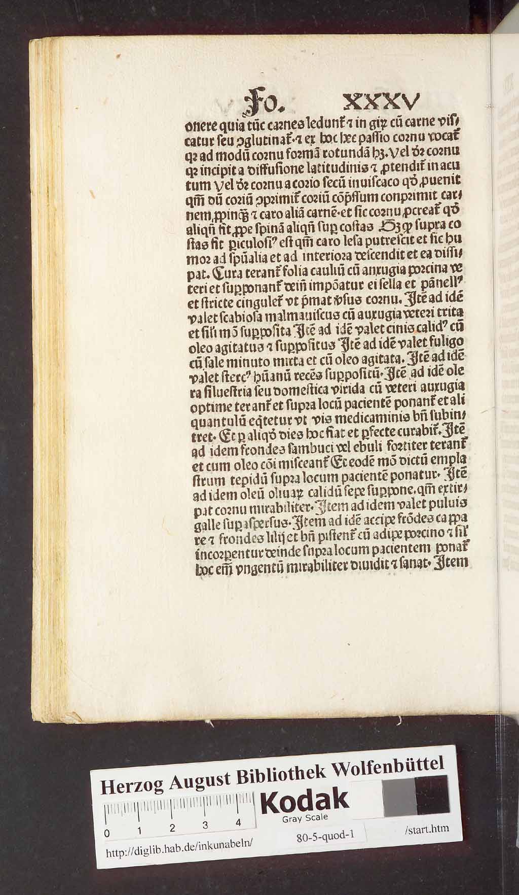 http://diglib.hab.de/inkunabeln/80-5-quod-1/00082.jpg
