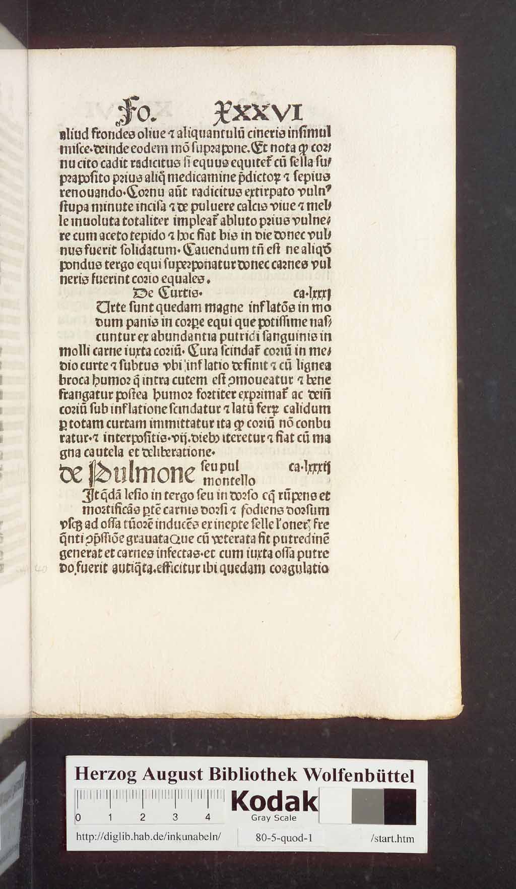 http://diglib.hab.de/inkunabeln/80-5-quod-1/00083.jpg