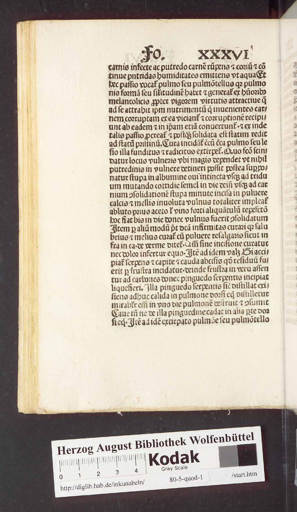 http://diglib.hab.de/inkunabeln/80-5-quod-1/00084.jpg