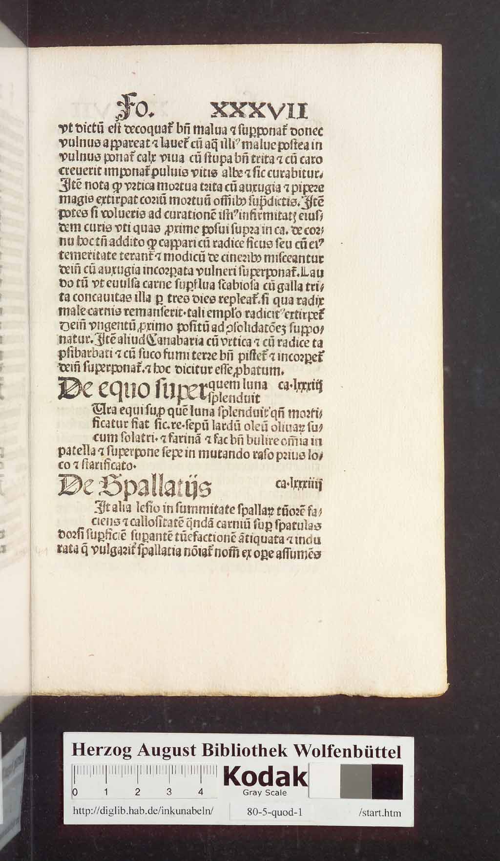 http://diglib.hab.de/inkunabeln/80-5-quod-1/00085.jpg