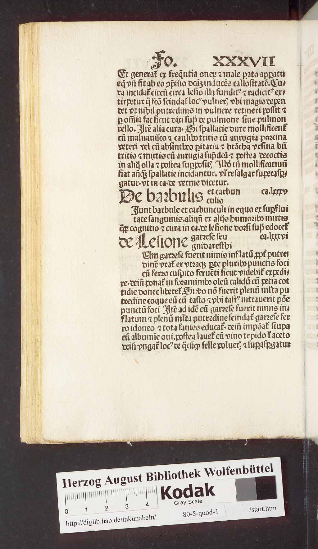 http://diglib.hab.de/inkunabeln/80-5-quod-1/00086.jpg