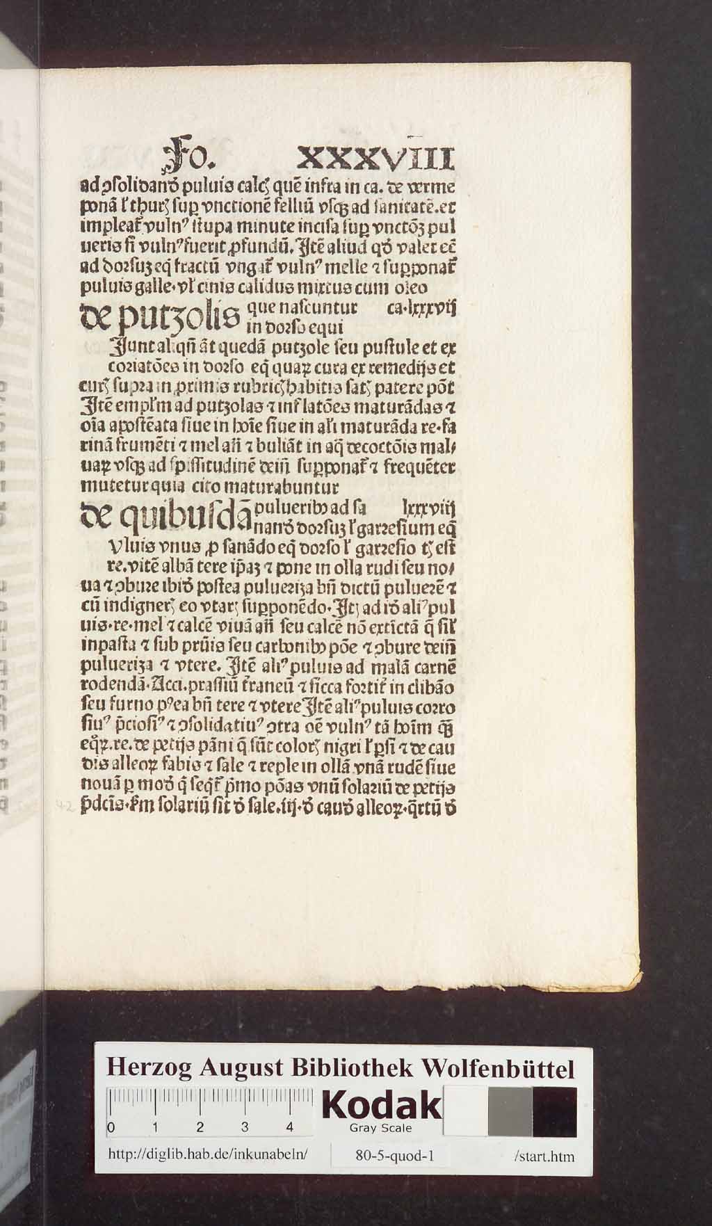 http://diglib.hab.de/inkunabeln/80-5-quod-1/00087.jpg