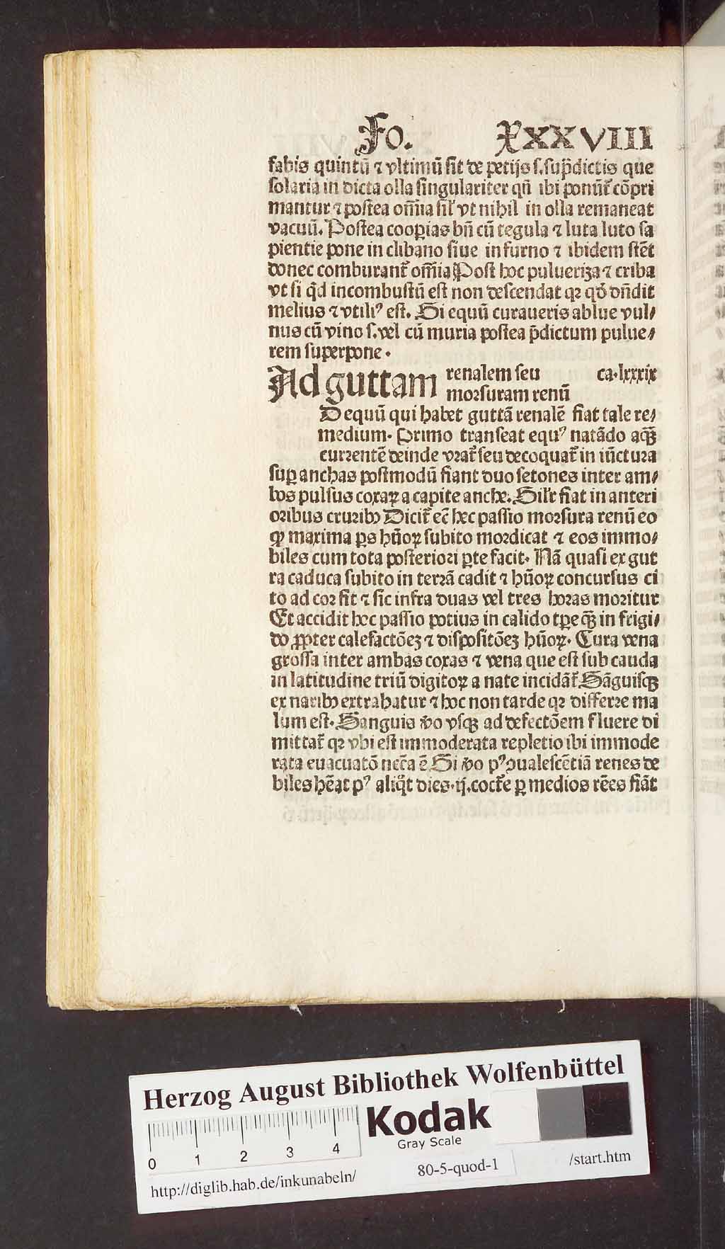 http://diglib.hab.de/inkunabeln/80-5-quod-1/00088.jpg
