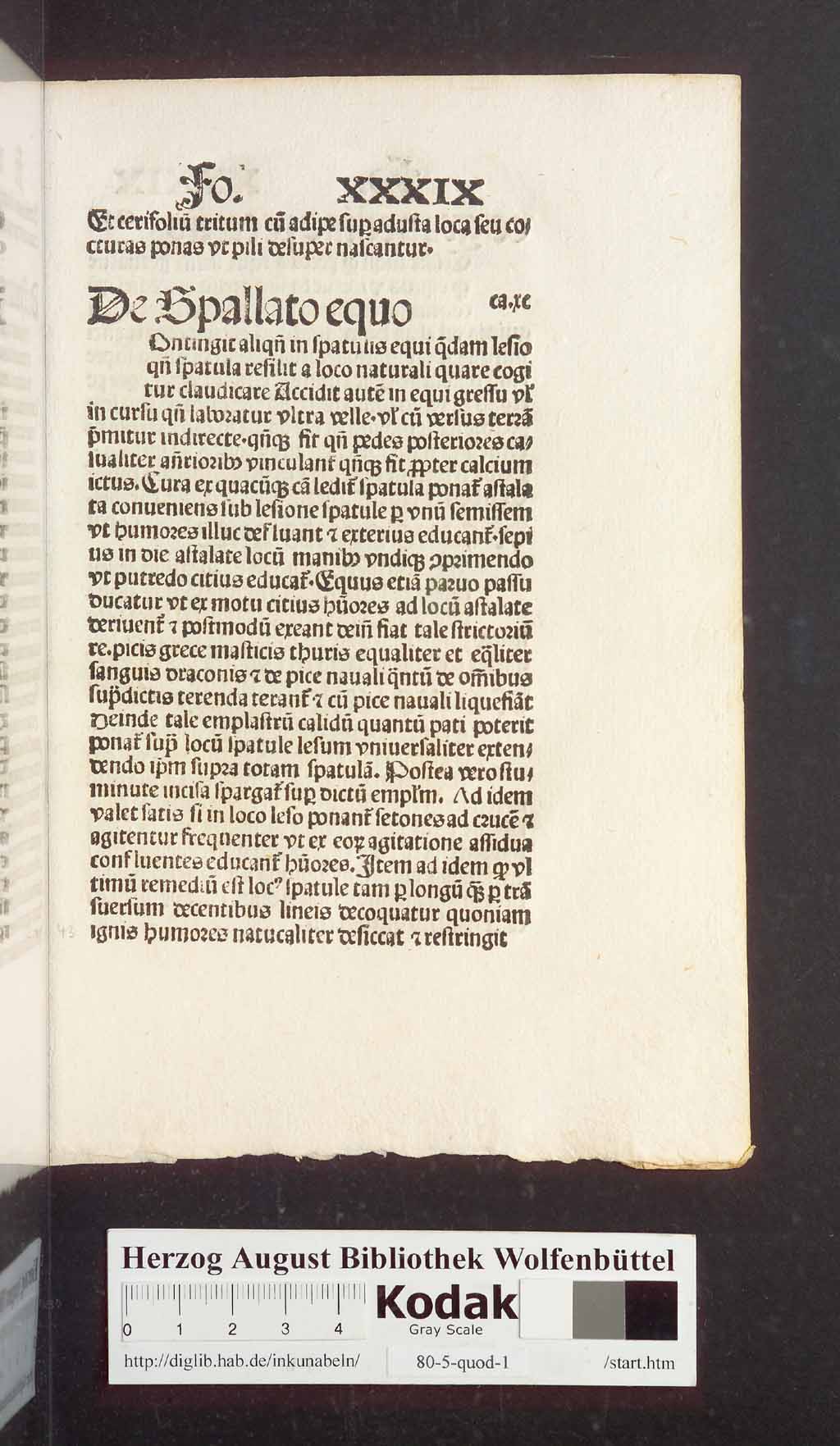 http://diglib.hab.de/inkunabeln/80-5-quod-1/00089.jpg