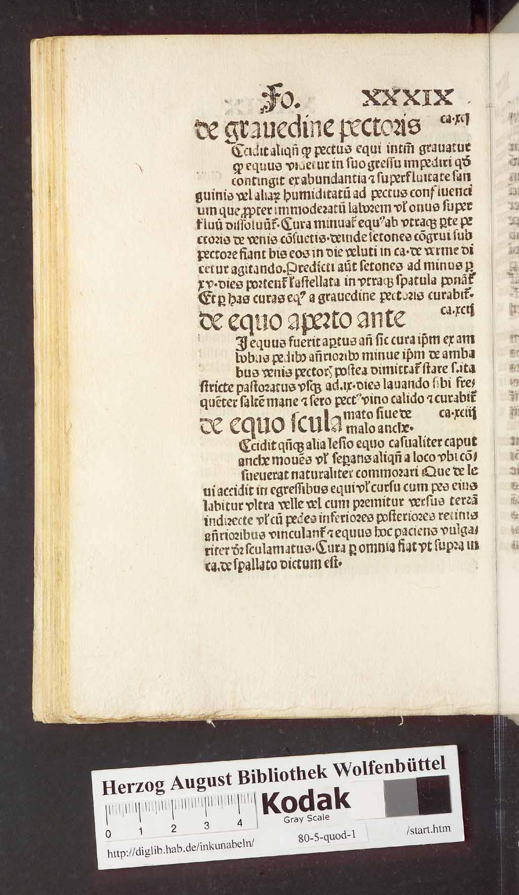 http://diglib.hab.de/inkunabeln/80-5-quod-1/00090.jpg