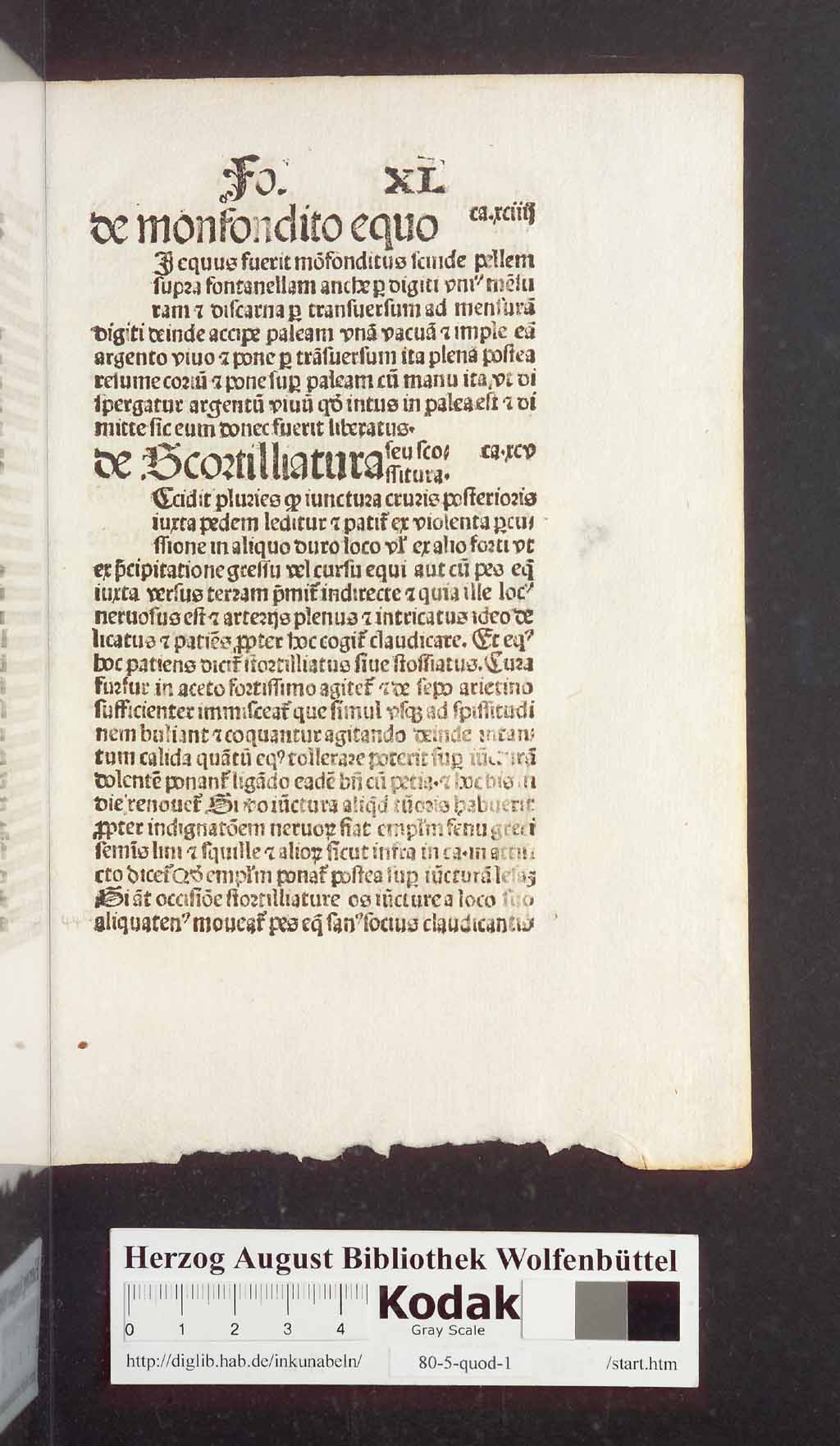 http://diglib.hab.de/inkunabeln/80-5-quod-1/00091.jpg