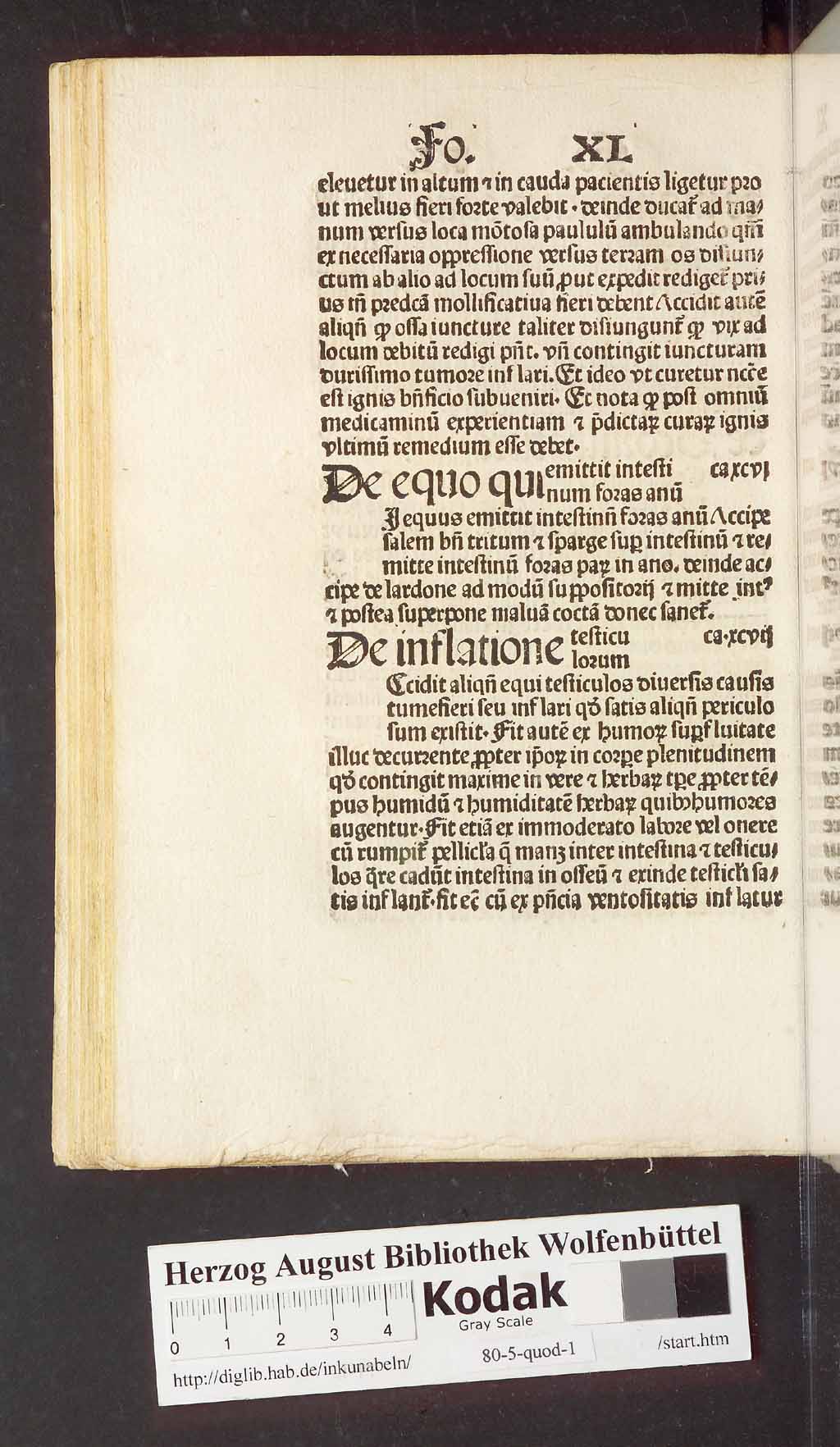 http://diglib.hab.de/inkunabeln/80-5-quod-1/00092.jpg
