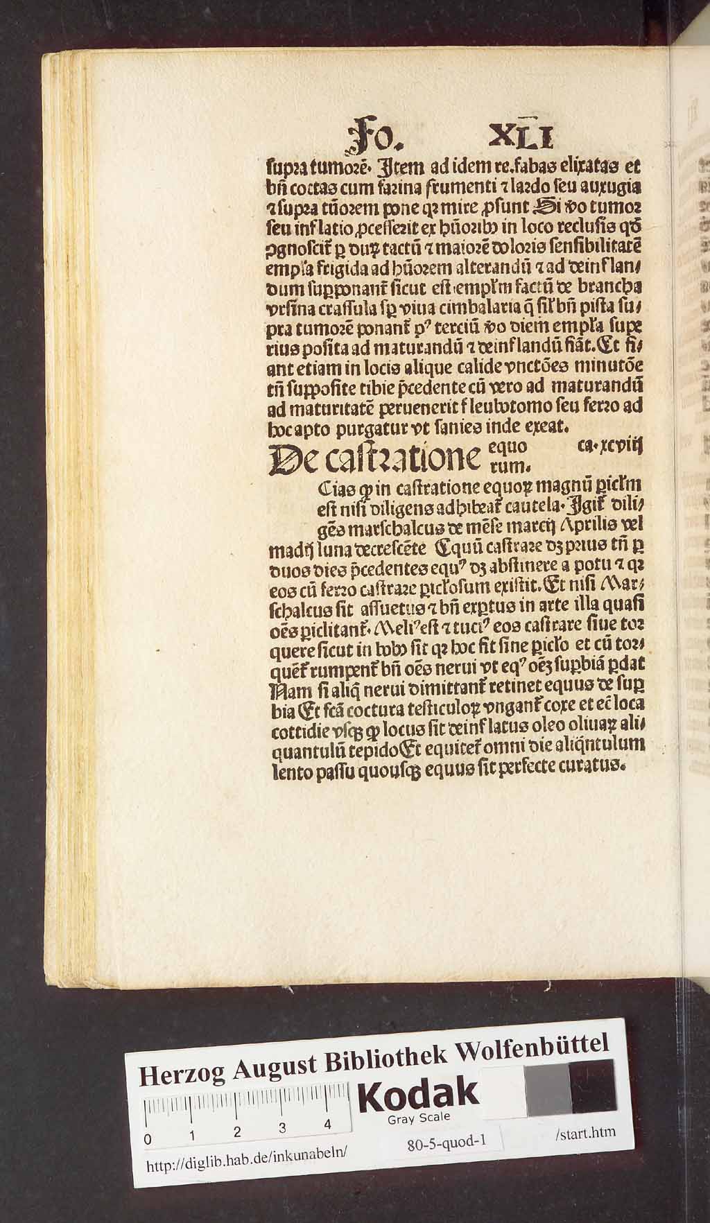 http://diglib.hab.de/inkunabeln/80-5-quod-1/00094.jpg