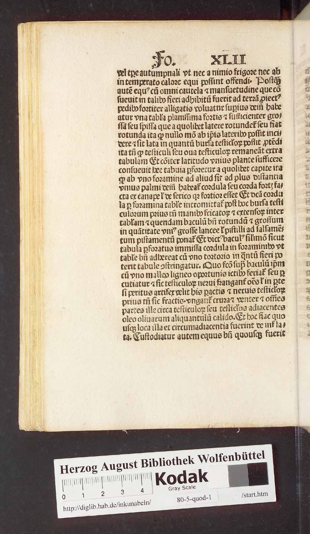 http://diglib.hab.de/inkunabeln/80-5-quod-1/00096.jpg
