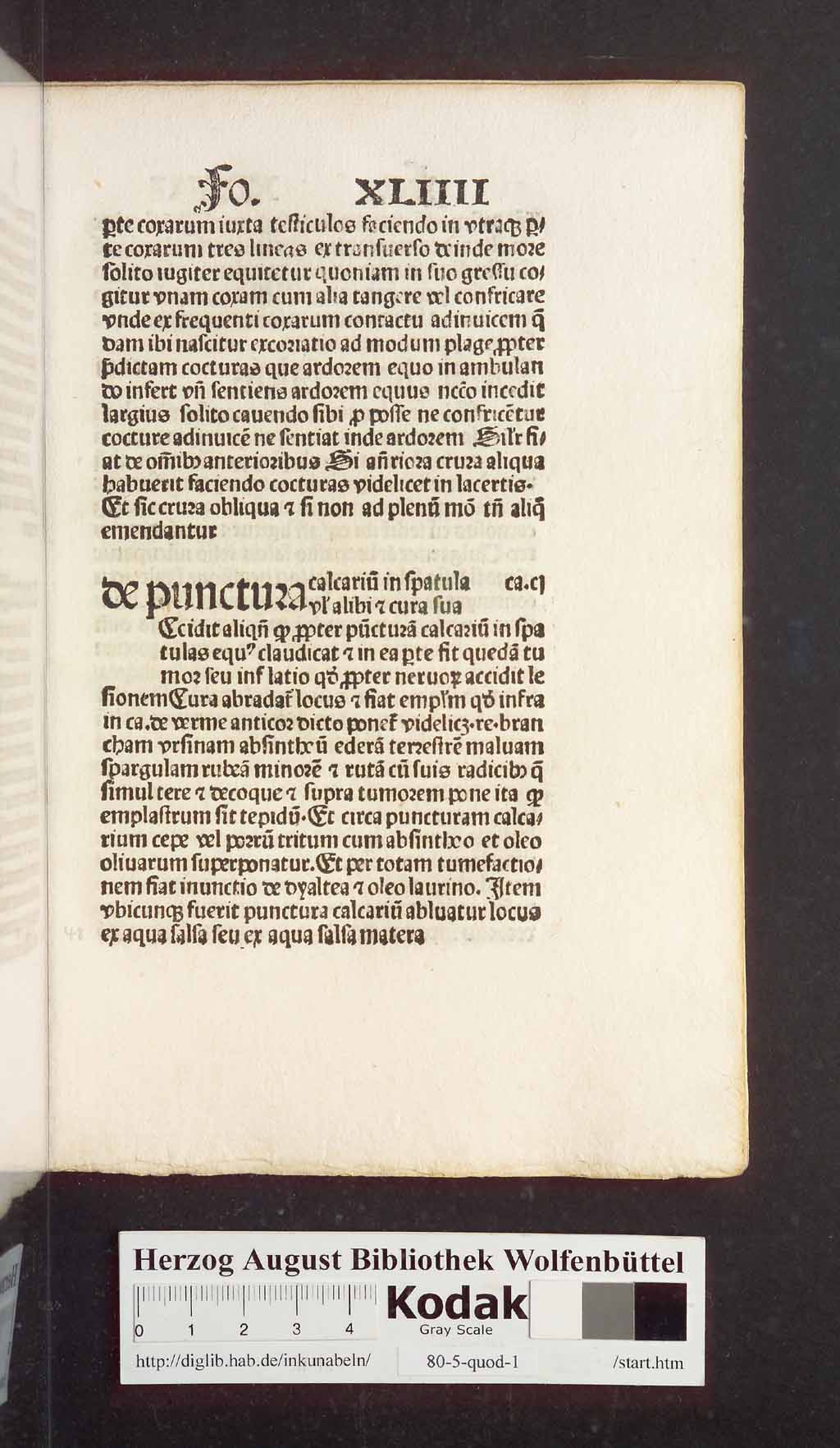 http://diglib.hab.de/inkunabeln/80-5-quod-1/00099.jpg
