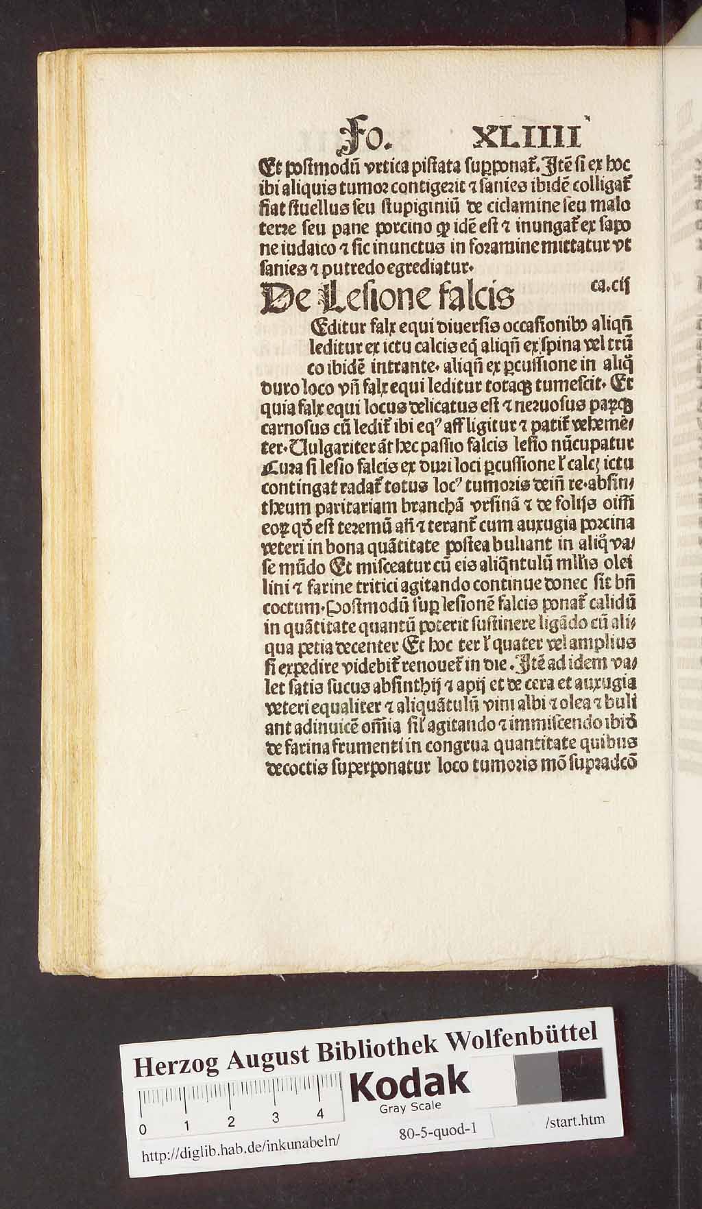 http://diglib.hab.de/inkunabeln/80-5-quod-1/00100.jpg