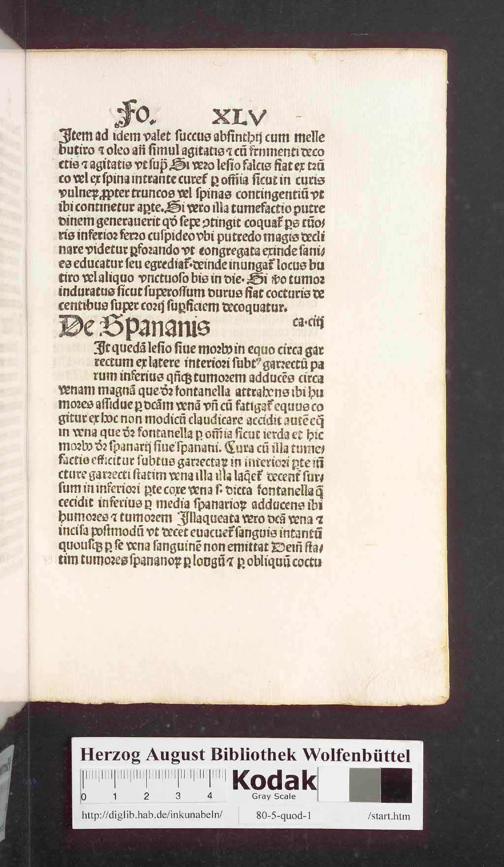 http://diglib.hab.de/inkunabeln/80-5-quod-1/00101.jpg