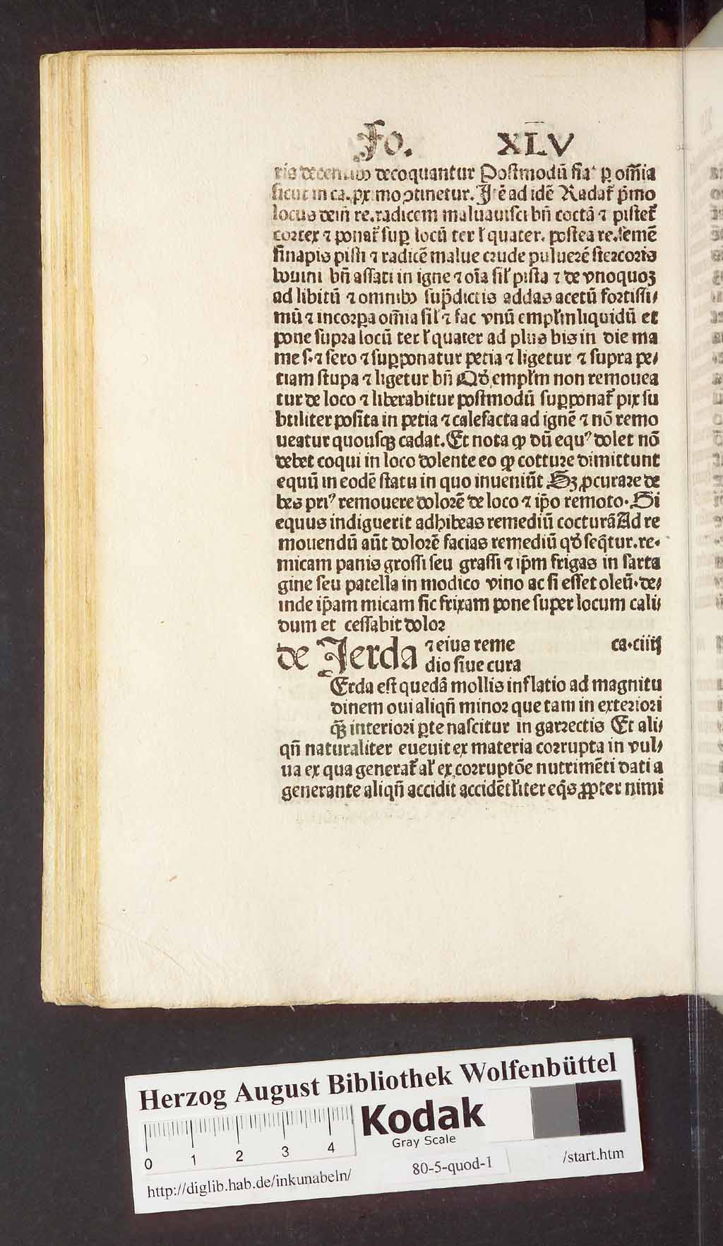 http://diglib.hab.de/inkunabeln/80-5-quod-1/00102.jpg