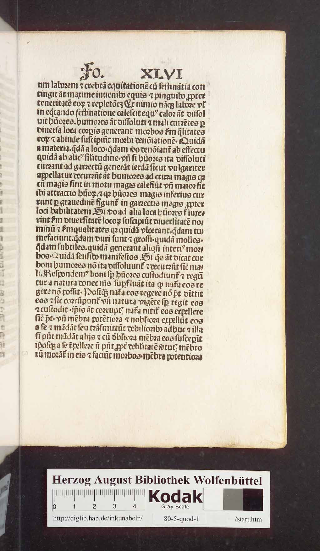 http://diglib.hab.de/inkunabeln/80-5-quod-1/00103.jpg