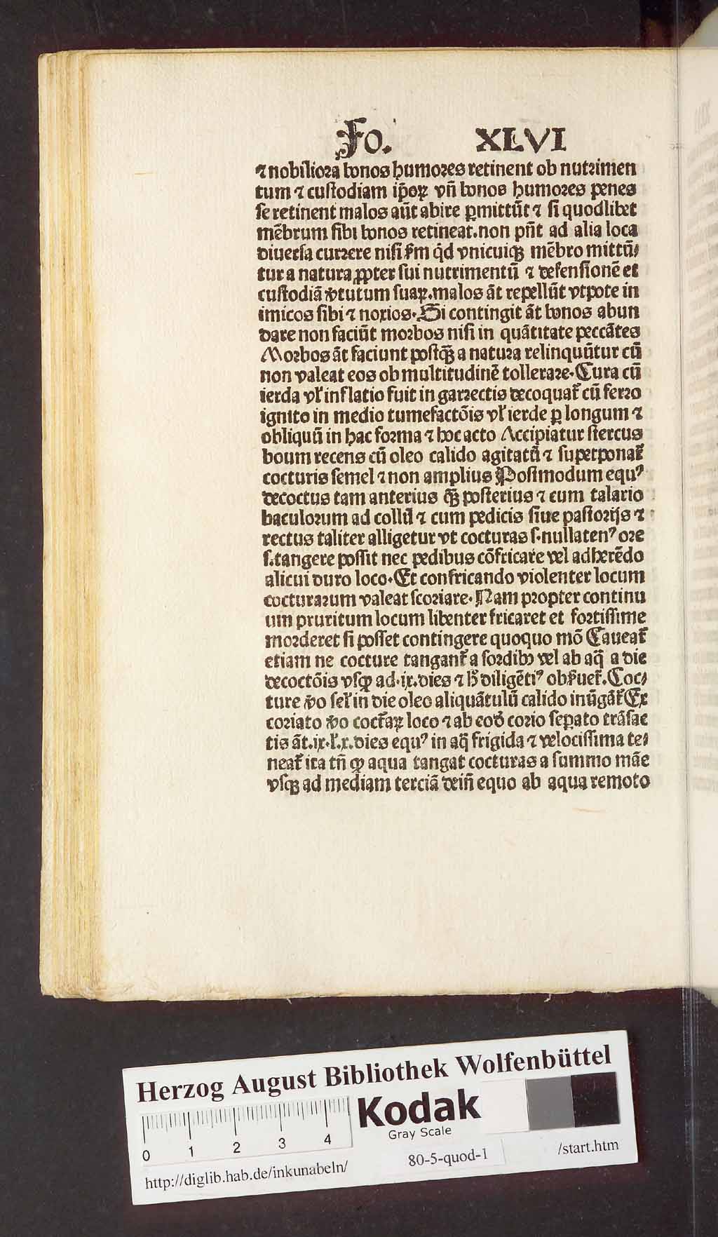 http://diglib.hab.de/inkunabeln/80-5-quod-1/00104.jpg