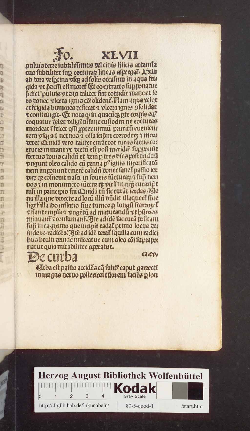 http://diglib.hab.de/inkunabeln/80-5-quod-1/00105.jpg