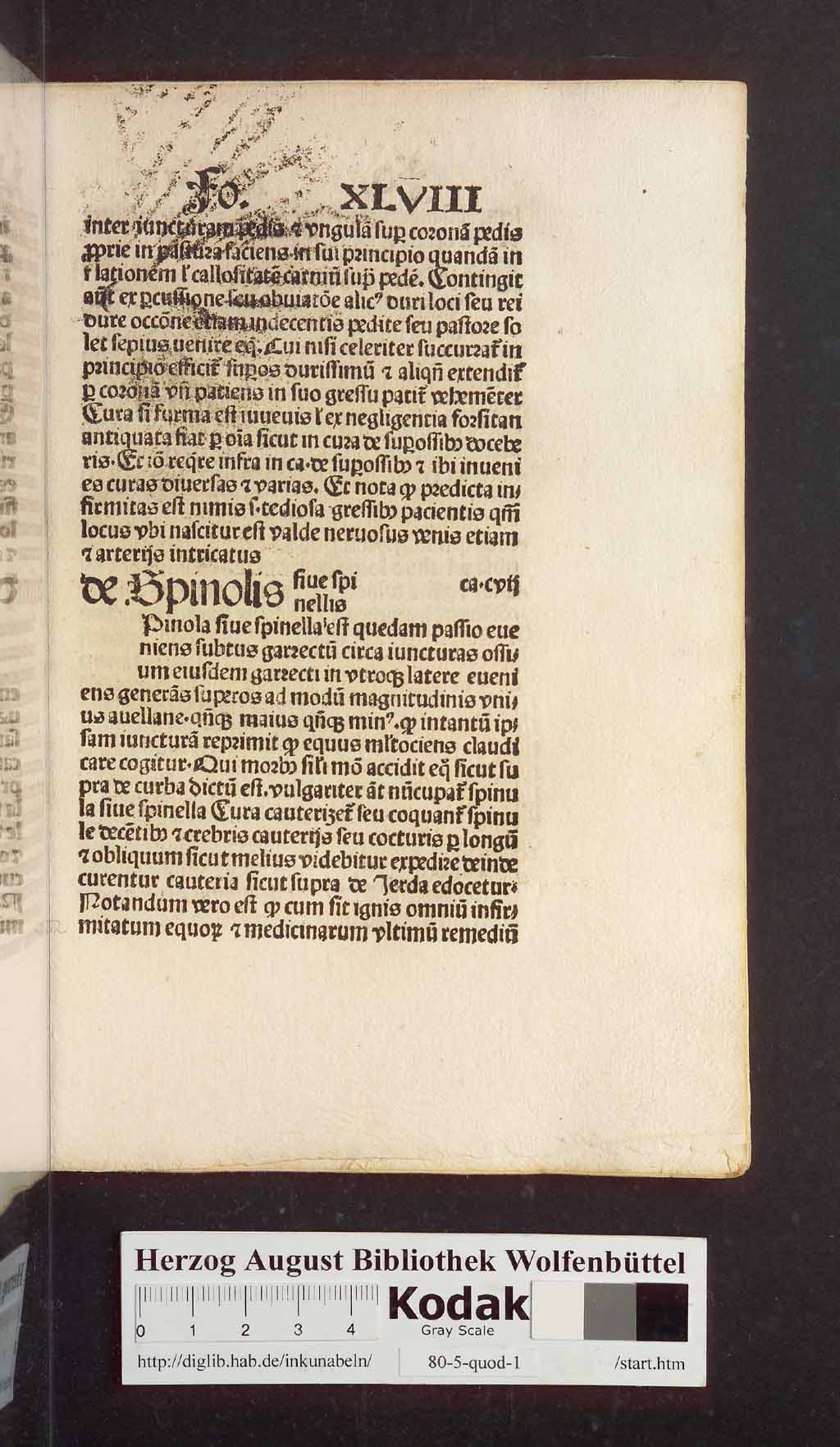 http://diglib.hab.de/inkunabeln/80-5-quod-1/00107.jpg