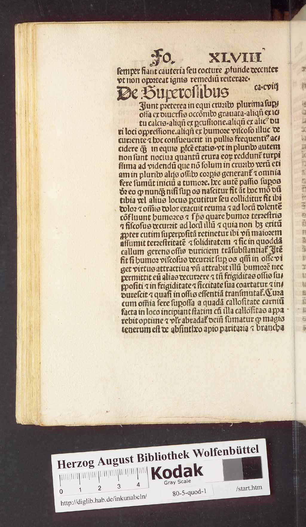 http://diglib.hab.de/inkunabeln/80-5-quod-1/00108.jpg