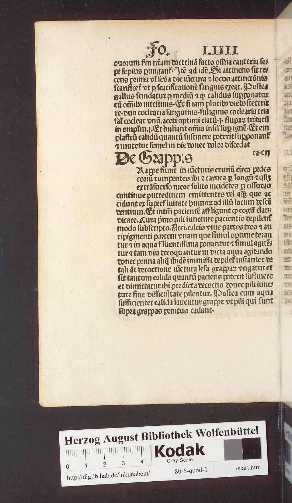 http://diglib.hab.de/inkunabeln/80-5-quod-1/00120.jpg