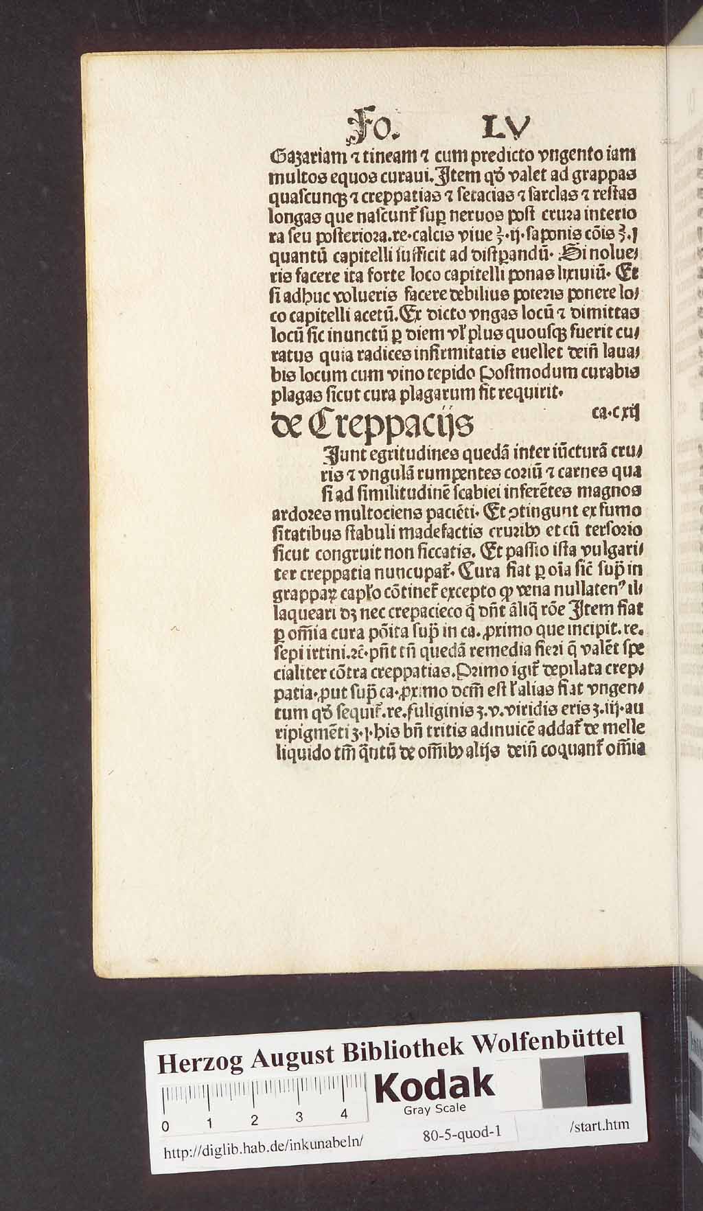 http://diglib.hab.de/inkunabeln/80-5-quod-1/00122.jpg