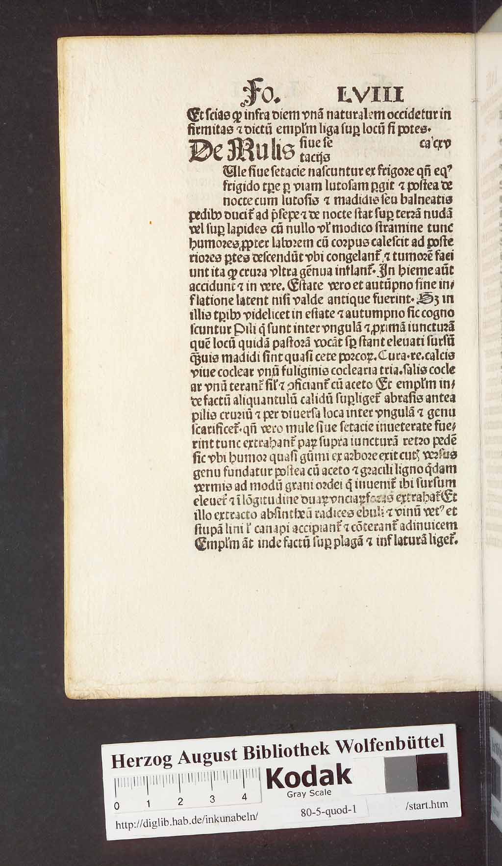 http://diglib.hab.de/inkunabeln/80-5-quod-1/00128.jpg