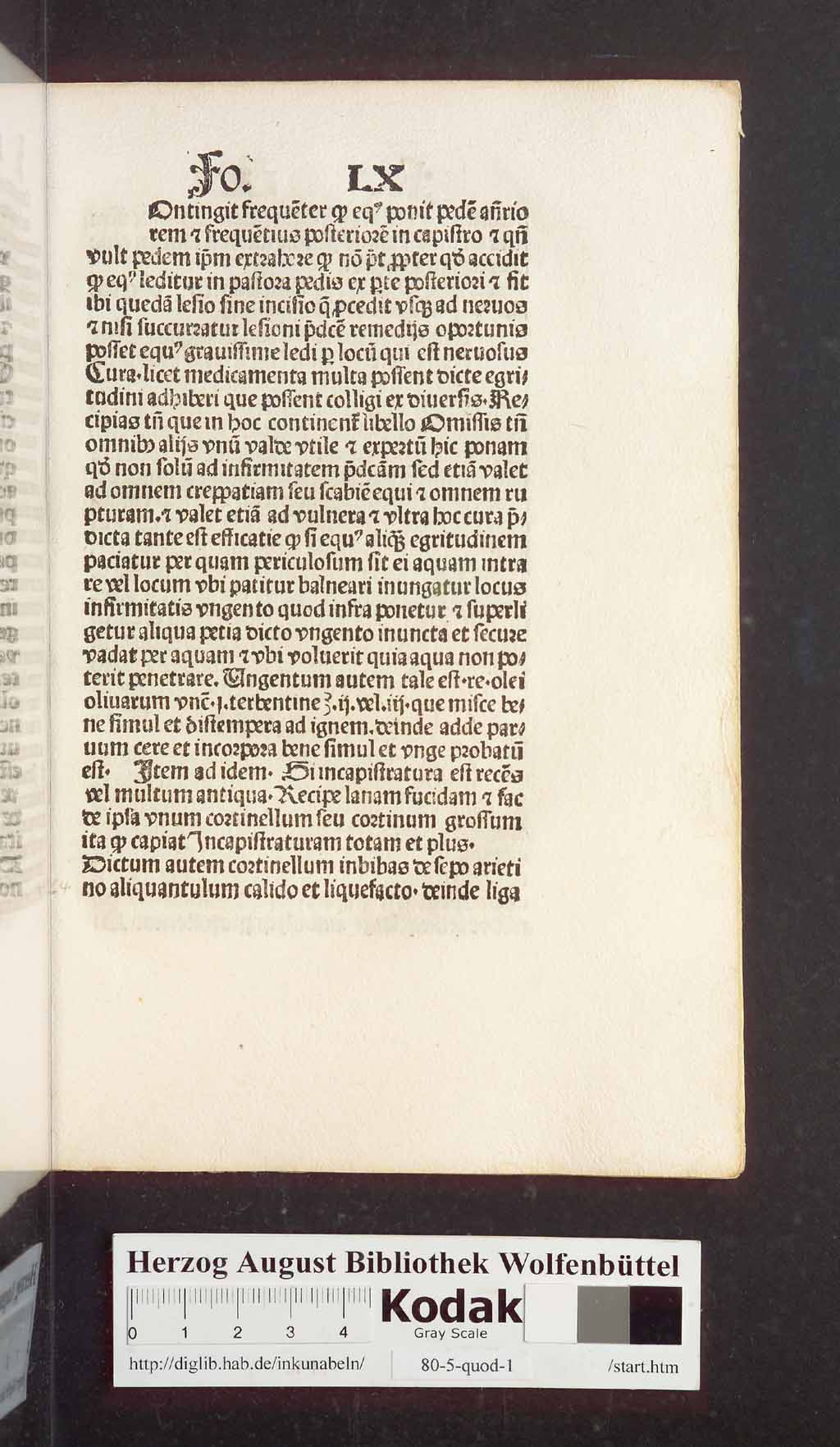 http://diglib.hab.de/inkunabeln/80-5-quod-1/00131.jpg