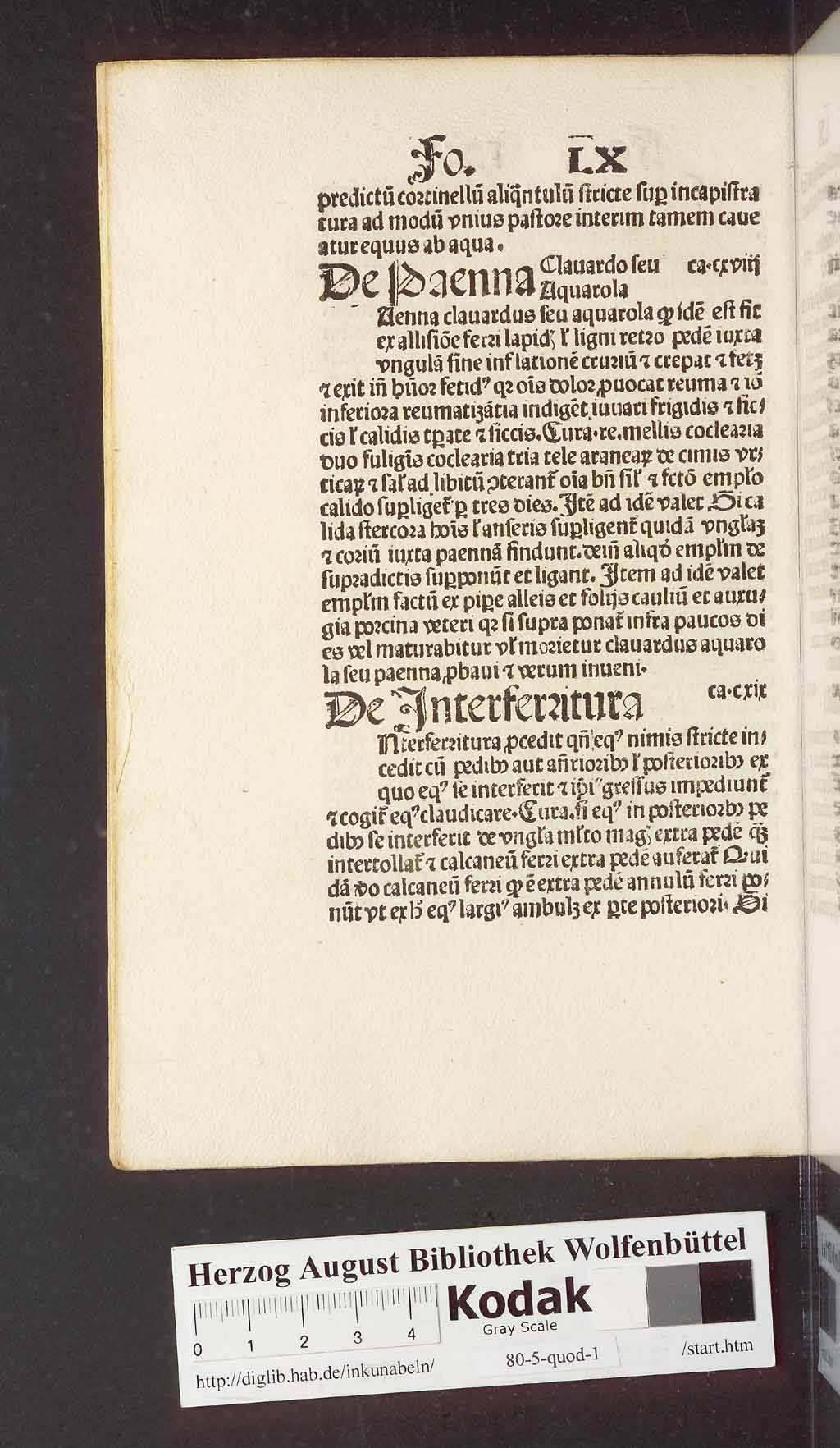 http://diglib.hab.de/inkunabeln/80-5-quod-1/00132.jpg