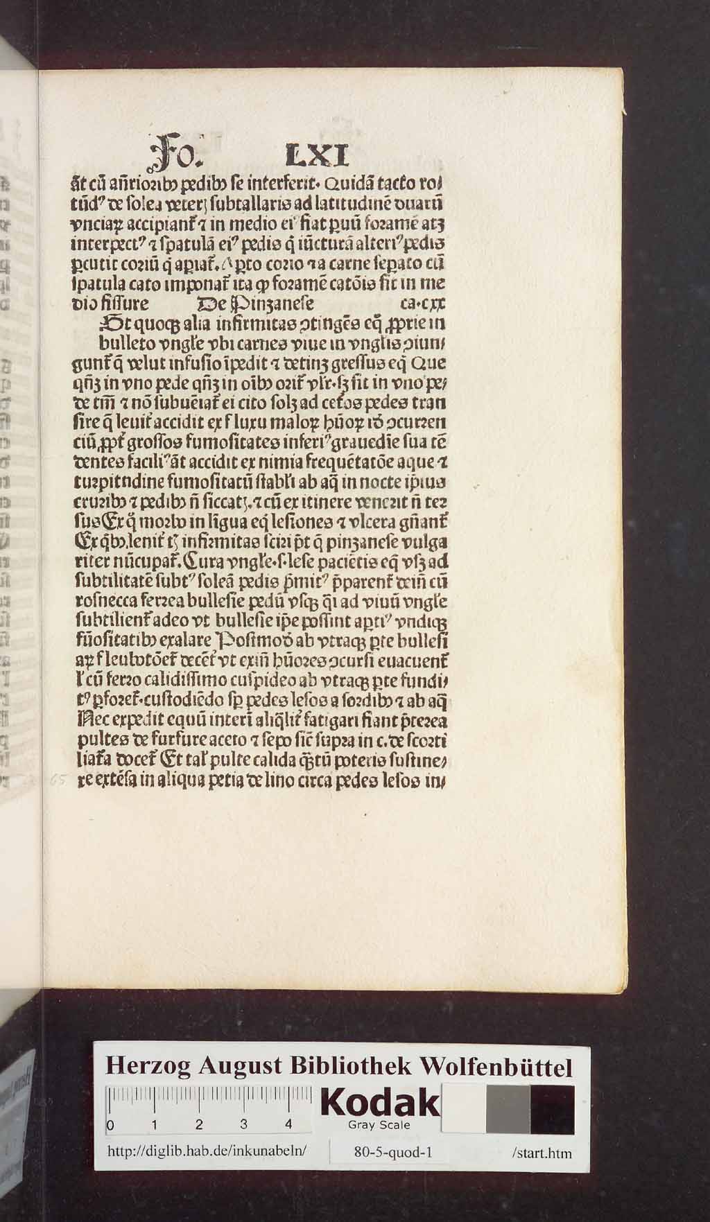 http://diglib.hab.de/inkunabeln/80-5-quod-1/00133.jpg