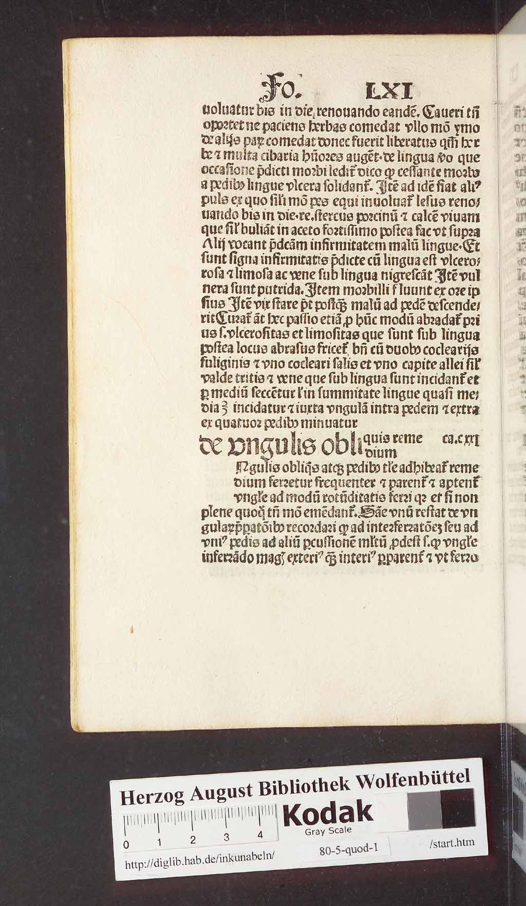 http://diglib.hab.de/inkunabeln/80-5-quod-1/00134.jpg