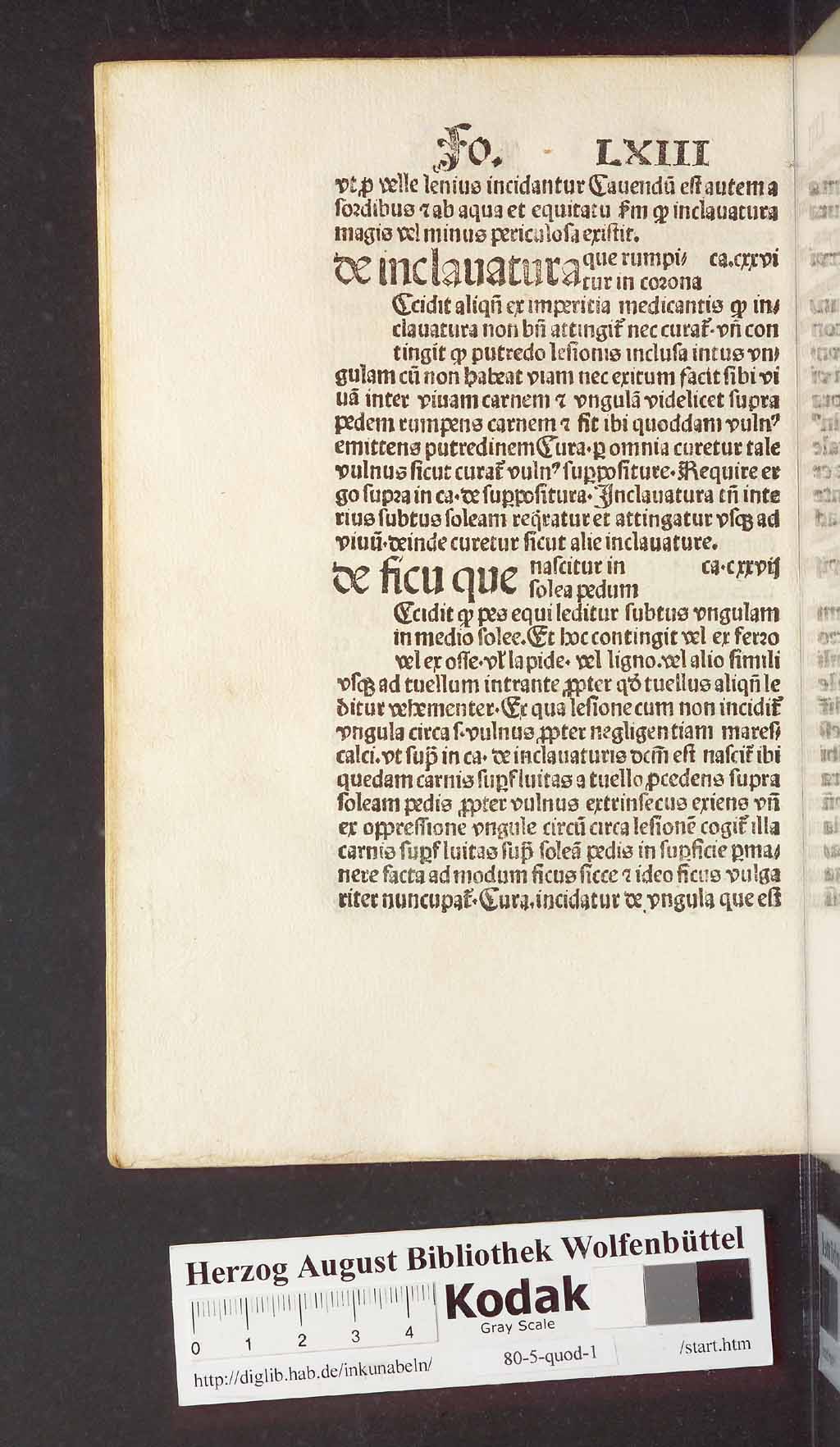 http://diglib.hab.de/inkunabeln/80-5-quod-1/00138.jpg