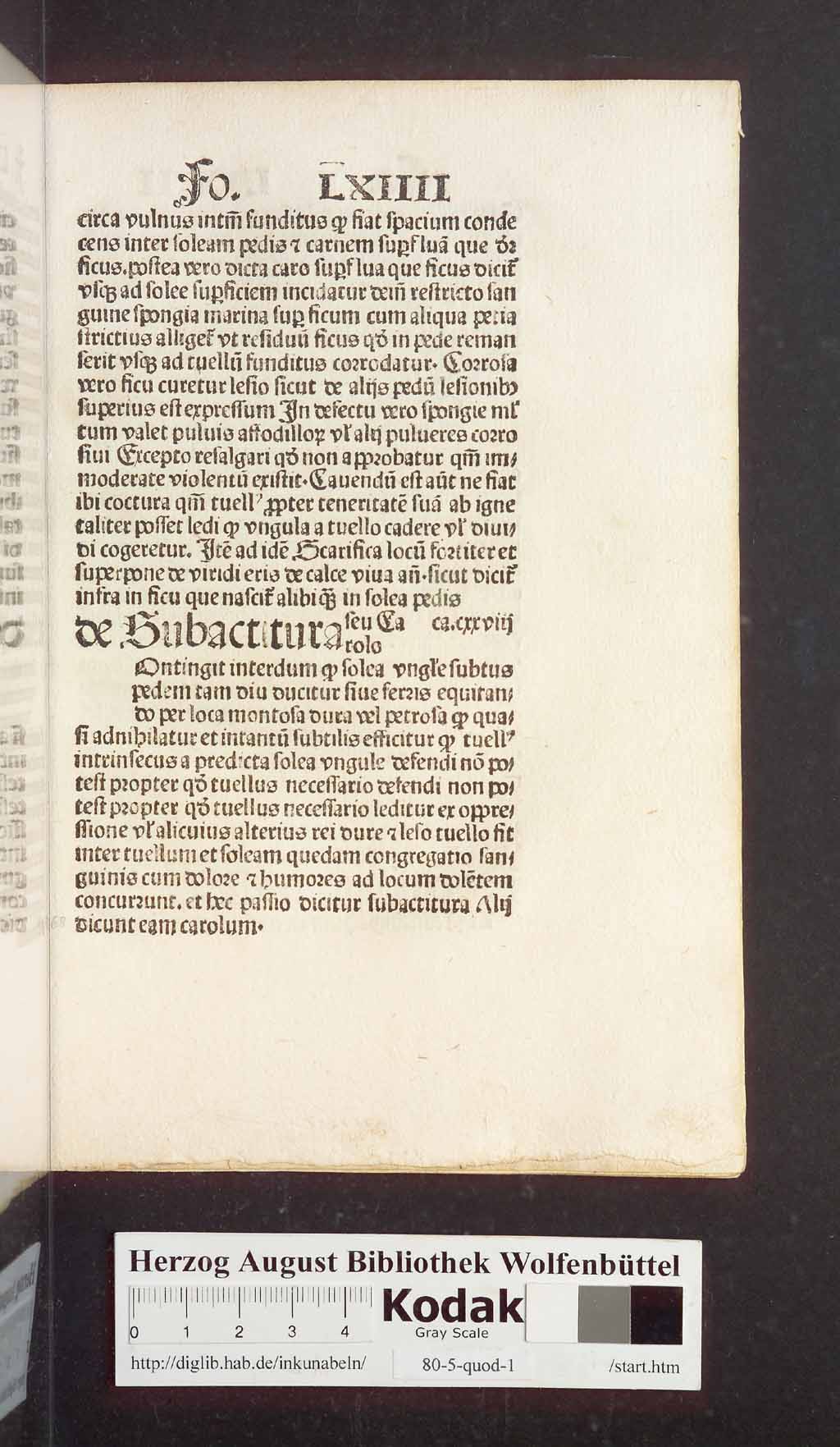 http://diglib.hab.de/inkunabeln/80-5-quod-1/00139.jpg