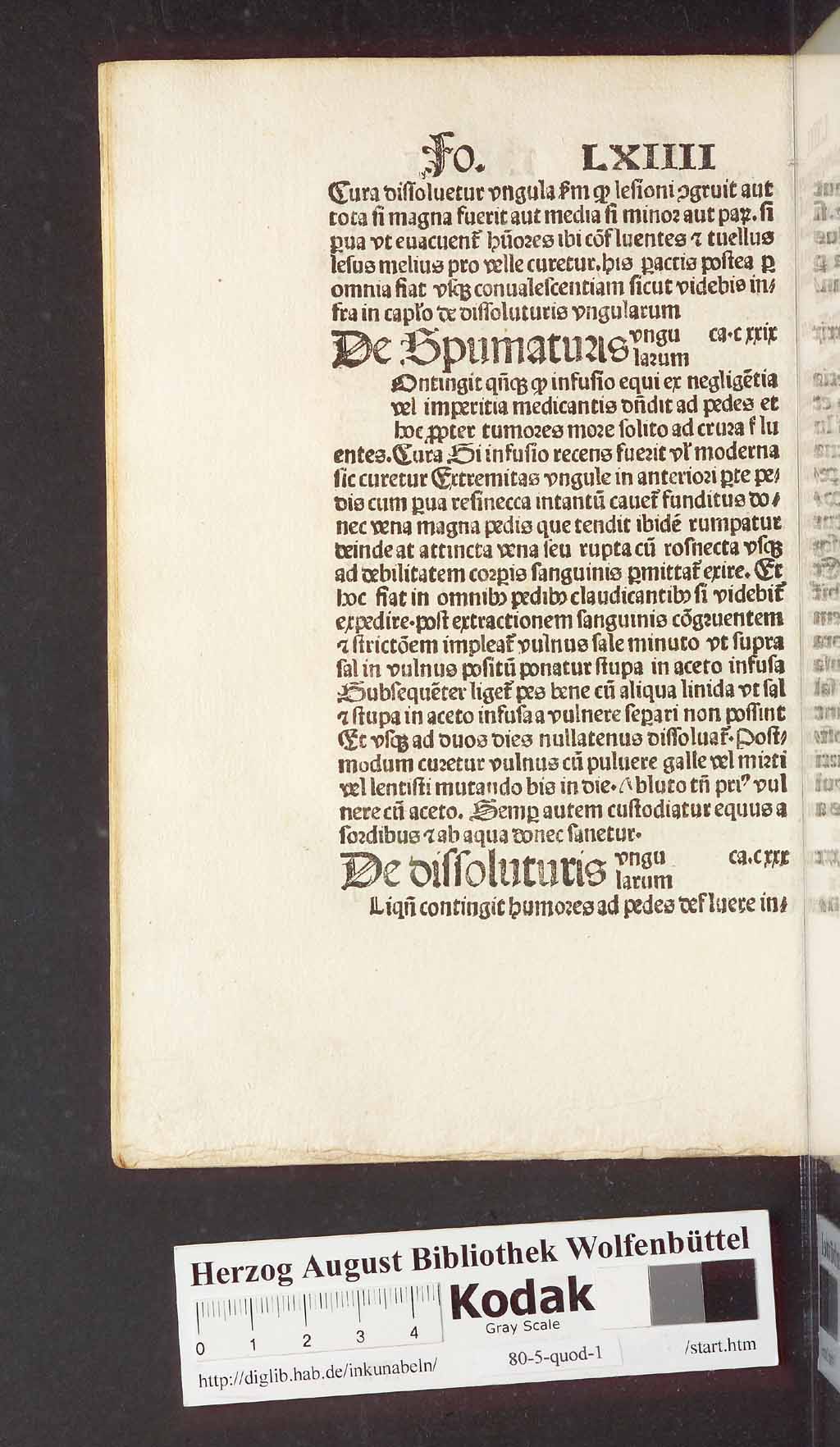 http://diglib.hab.de/inkunabeln/80-5-quod-1/00140.jpg