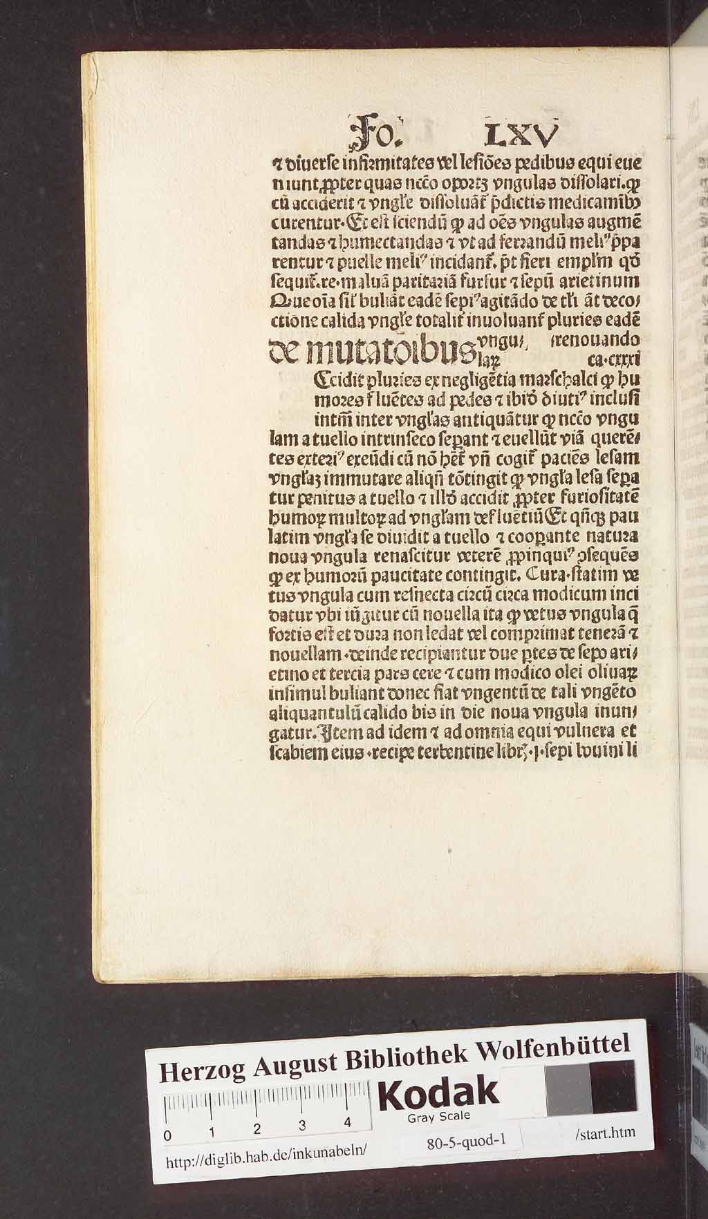 http://diglib.hab.de/inkunabeln/80-5-quod-1/00142.jpg