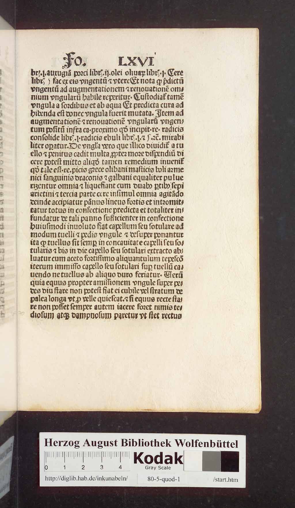 http://diglib.hab.de/inkunabeln/80-5-quod-1/00143.jpg