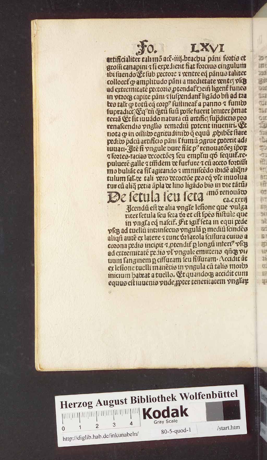 http://diglib.hab.de/inkunabeln/80-5-quod-1/00144.jpg