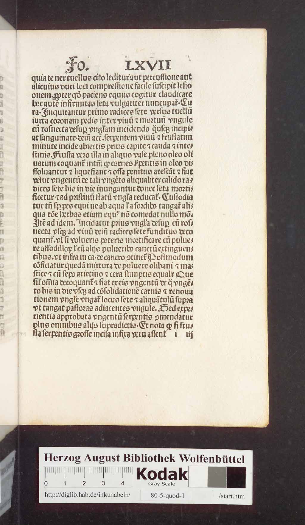 http://diglib.hab.de/inkunabeln/80-5-quod-1/00145.jpg