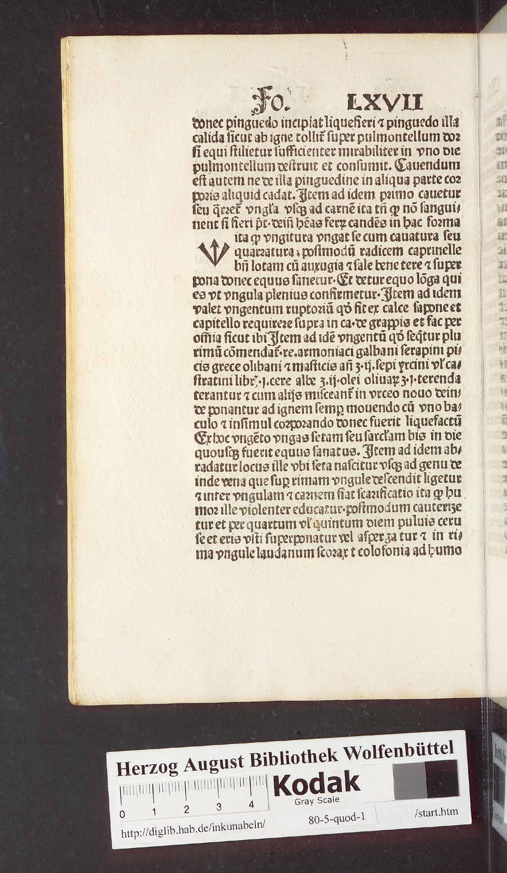 http://diglib.hab.de/inkunabeln/80-5-quod-1/00146.jpg