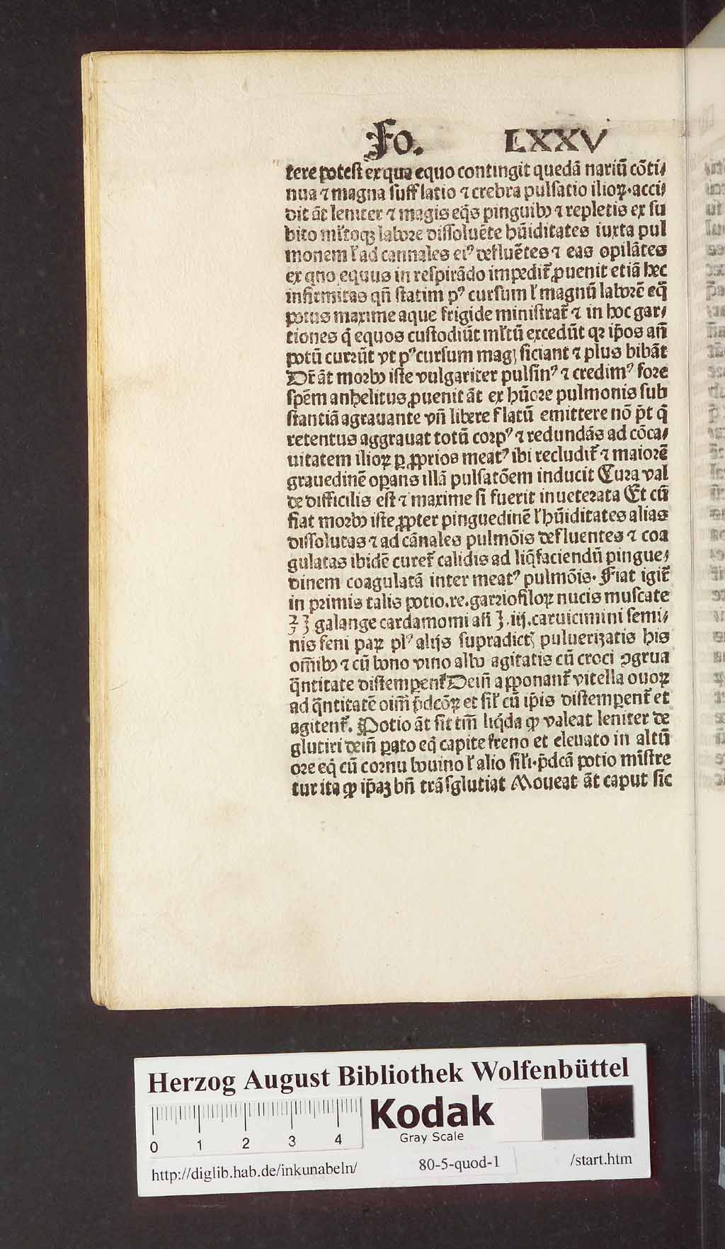 http://diglib.hab.de/inkunabeln/80-5-quod-1/00162.jpg
