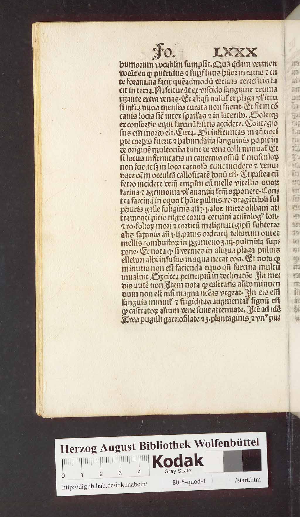http://diglib.hab.de/inkunabeln/80-5-quod-1/00172.jpg