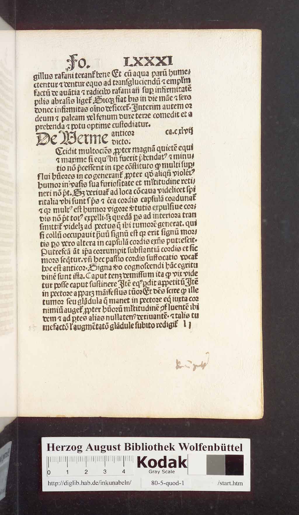 http://diglib.hab.de/inkunabeln/80-5-quod-1/00173.jpg