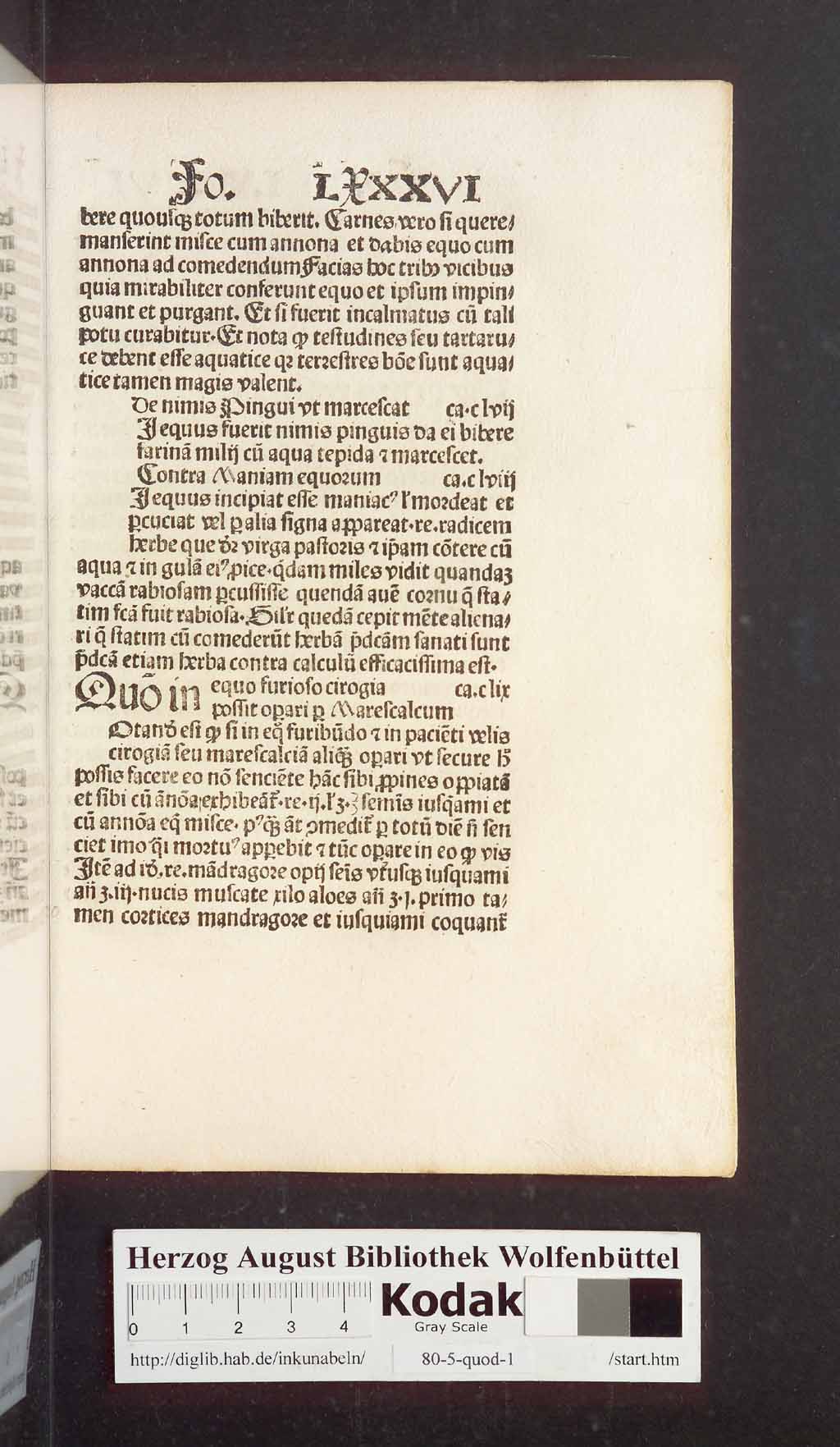 http://diglib.hab.de/inkunabeln/80-5-quod-1/00183.jpg