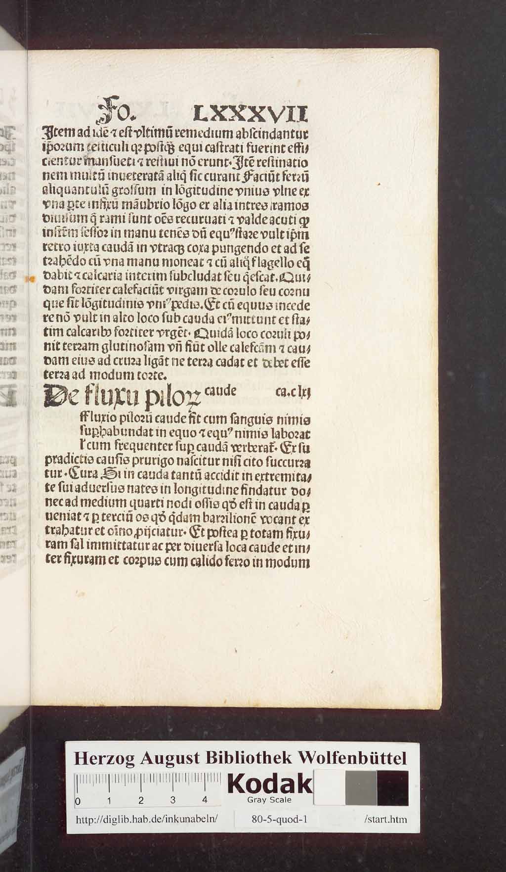http://diglib.hab.de/inkunabeln/80-5-quod-1/00185.jpg