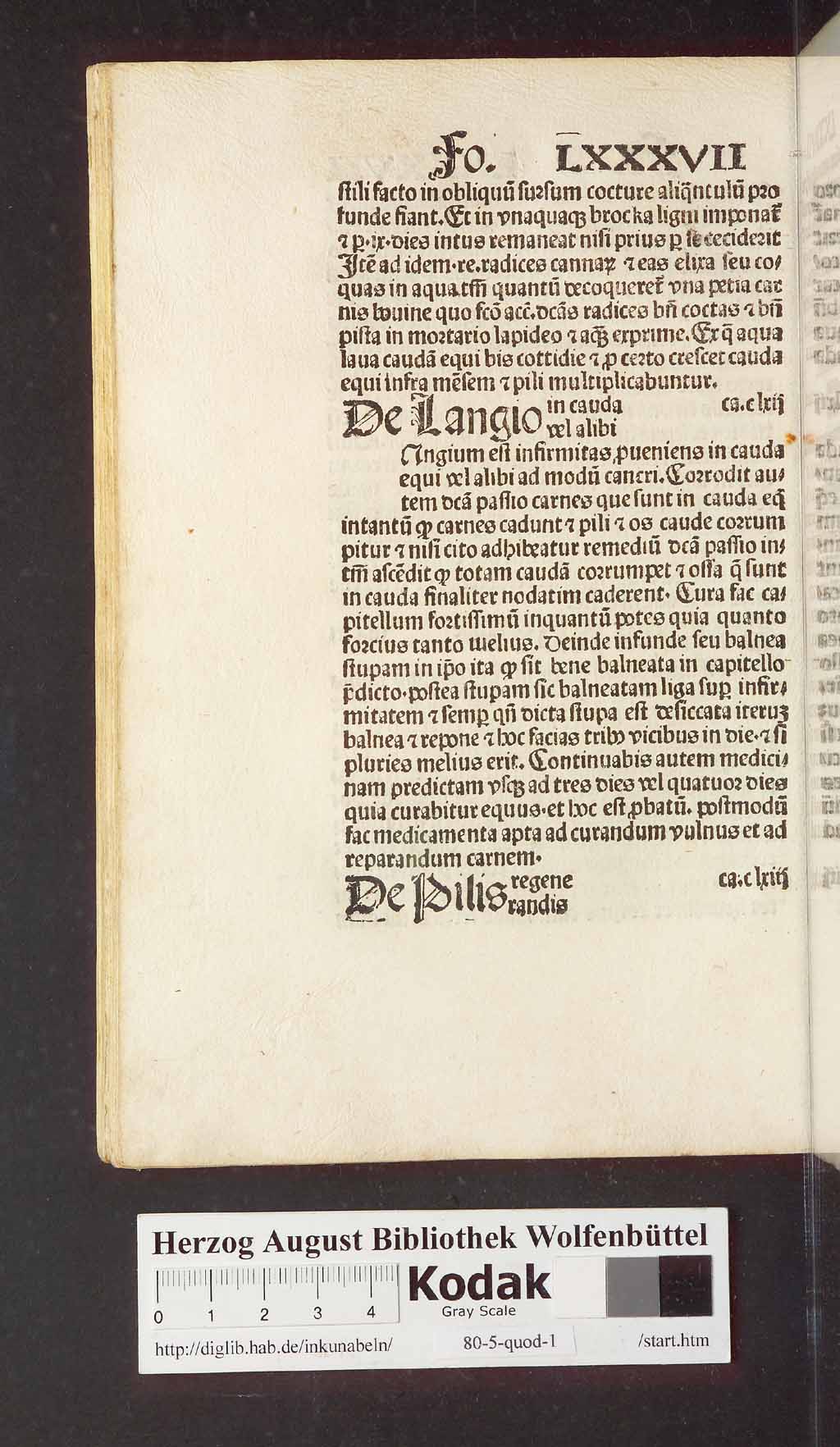 http://diglib.hab.de/inkunabeln/80-5-quod-1/00186.jpg